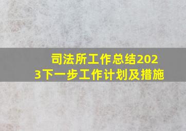 司法所工作总结2023下一步工作计划及措施