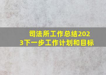 司法所工作总结2023下一步工作计划和目标