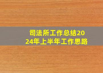 司法所工作总结2024年上半年工作思路