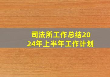 司法所工作总结2024年上半年工作计划