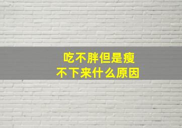 吃不胖但是瘦不下来什么原因