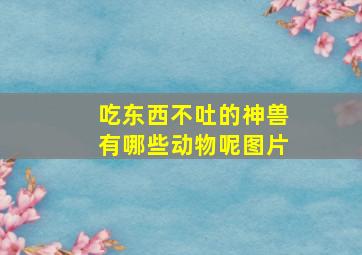 吃东西不吐的神兽有哪些动物呢图片