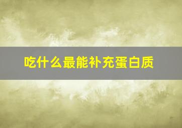 吃什么最能补充蛋白质