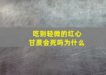 吃到轻微的红心甘蔗会死吗为什么