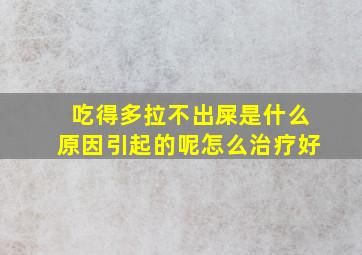 吃得多拉不出屎是什么原因引起的呢怎么治疗好