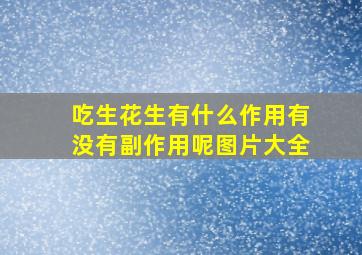 吃生花生有什么作用有没有副作用呢图片大全