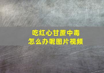 吃红心甘蔗中毒怎么办呢图片视频