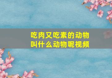 吃肉又吃素的动物叫什么动物呢视频