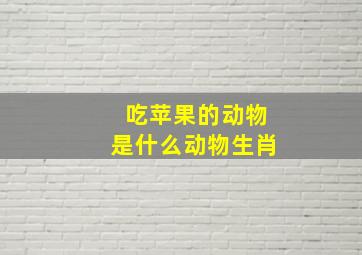 吃苹果的动物是什么动物生肖