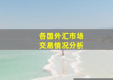 各国外汇市场交易情况分析