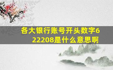 各大银行账号开头数字622208是什么意思啊