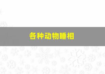 各种动物睡相