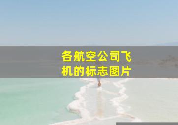 各航空公司飞机的标志图片