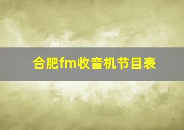 合肥fm收音机节目表