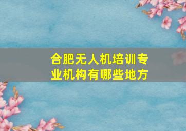 合肥无人机培训专业机构有哪些地方