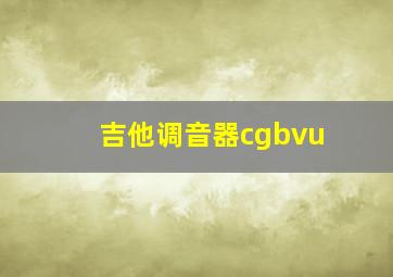 吉他调音器cgbvu