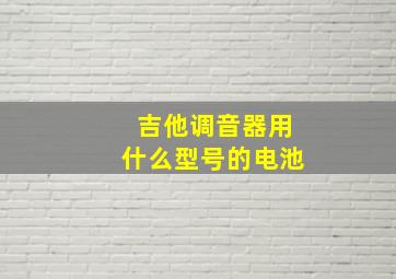 吉他调音器用什么型号的电池