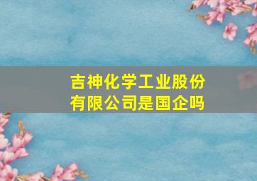 吉神化学工业股份有限公司是国企吗