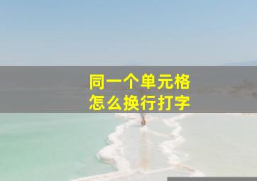 同一个单元格怎么换行打字