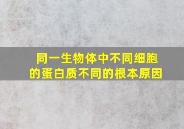 同一生物体中不同细胞的蛋白质不同的根本原因