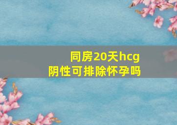 同房20天hcg阴性可排除怀孕吗