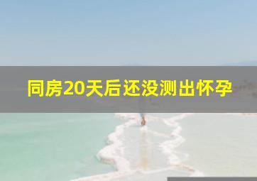 同房20天后还没测出怀孕