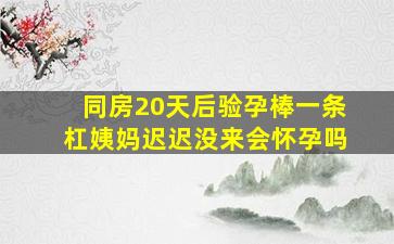 同房20天后验孕棒一条杠姨妈迟迟没来会怀孕吗