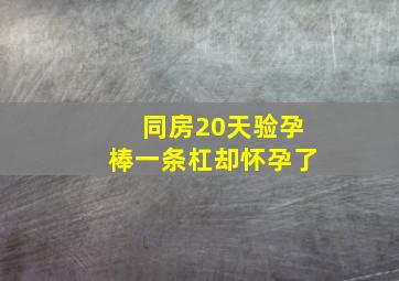 同房20天验孕棒一条杠却怀孕了