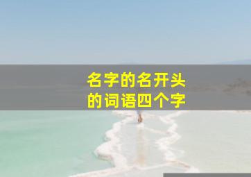 名字的名开头的词语四个字