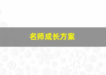 名师成长方案