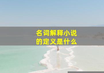 名词解释小说的定义是什么