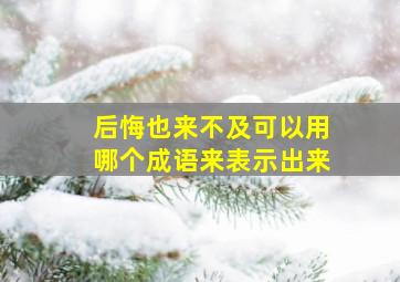 后悔也来不及可以用哪个成语来表示出来