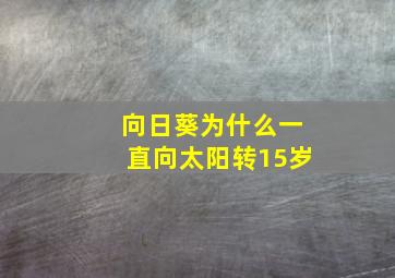 向日葵为什么一直向太阳转15岁