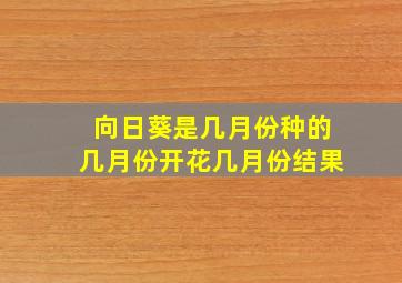 向日葵是几月份种的几月份开花几月份结果