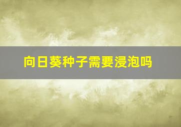 向日葵种子需要浸泡吗