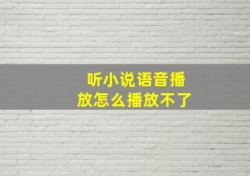 听小说语音播放怎么播放不了