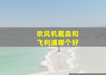 吹风机戴森和飞利浦哪个好