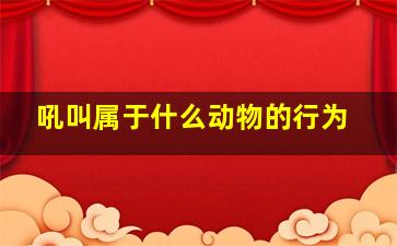 吼叫属于什么动物的行为