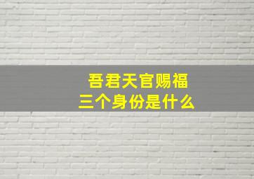 吾君天官赐福三个身份是什么