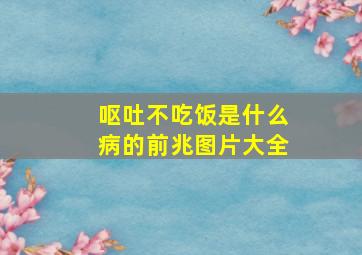 呕吐不吃饭是什么病的前兆图片大全