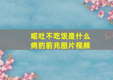 呕吐不吃饭是什么病的前兆图片视频