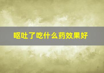 呕吐了吃什么药效果好