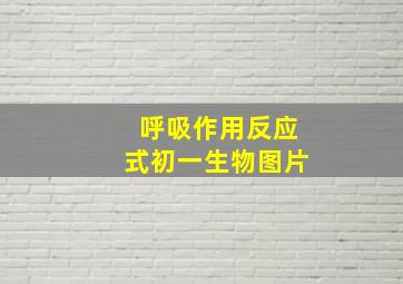 呼吸作用反应式初一生物图片