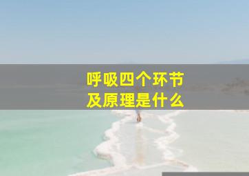 呼吸四个环节及原理是什么