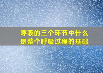 呼吸的三个环节中什么是整个呼吸过程的基础