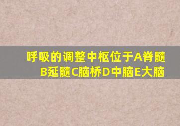 呼吸的调整中枢位于A脊髓B延髓C脑桥D中脑E大脑