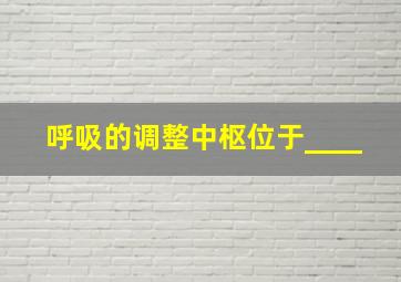 呼吸的调整中枢位于____