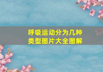 呼吸运动分为几种类型图片大全图解