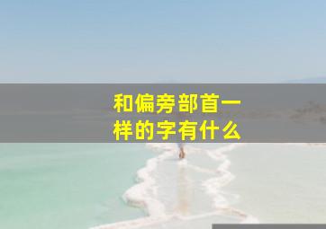 和偏旁部首一样的字有什么