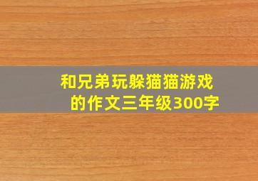 和兄弟玩躲猫猫游戏的作文三年级300字